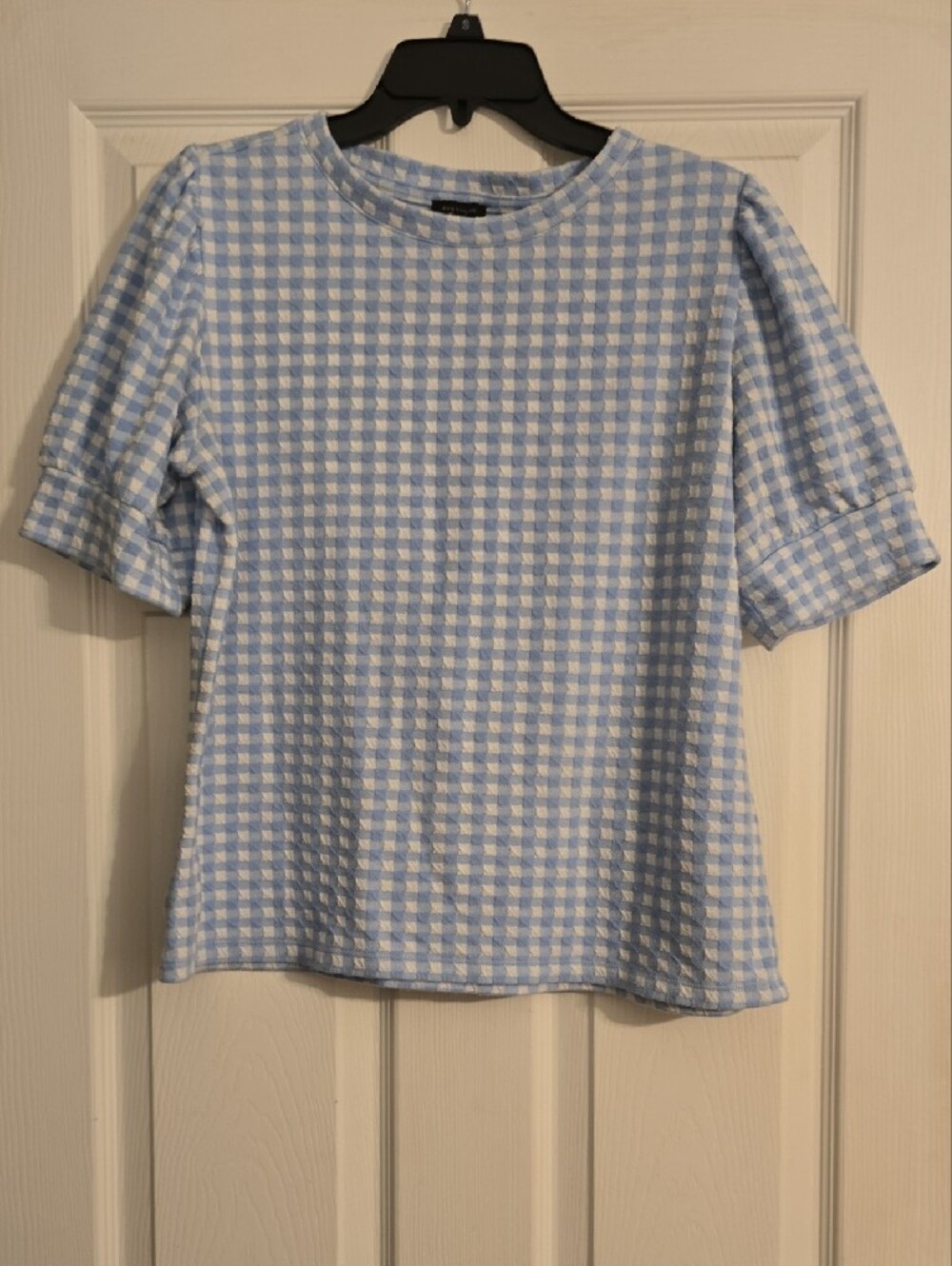 Ann Taylor Factory Blue and White Gingham Short Sleeve Top